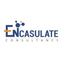 Encapsulate Consultancy