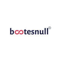 BootesNull New Logo