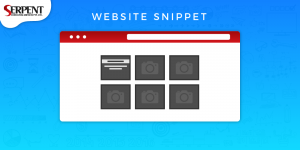 website_snippet