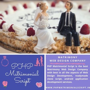 Matrimony Web Design Company Chennai